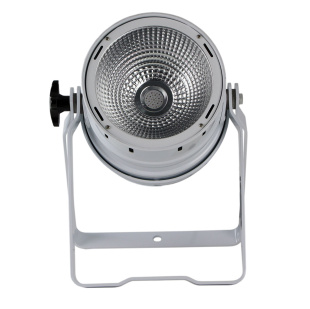 Прожектор INVOLIGHT COBPAR30T/WH