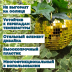 Зеркальное подвесное кашпо в форме диско-шара, 15 см золотое