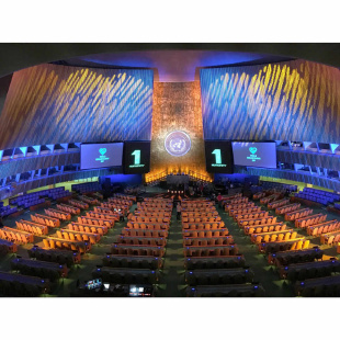 Профильный прожектор Elation WW Profile (no lens)