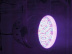 Прожектор Eurolite LED PAR-64 RGBA spot alu
