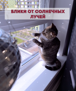 Зеркальное  кашпо настольное в форме диско-шара, 20 см золотое