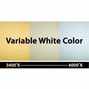 Прожектор ADJ Flat Par CWWW9 WH