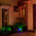 Уличная лазерная подсветка PartyMaker Garden Flower RGB Music